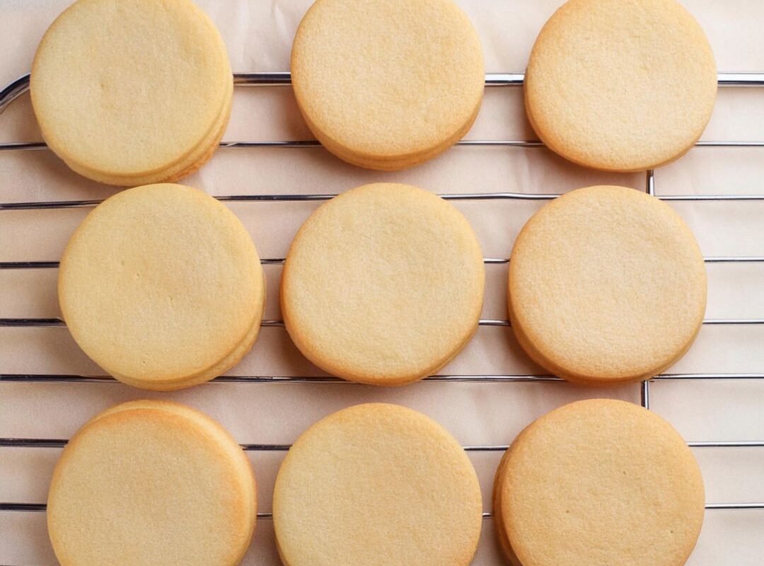 classic sugar cookie recipe